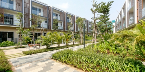 Dự án Palm Residence 